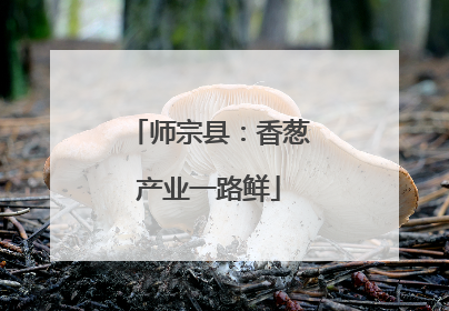 师宗县：香葱产业一路鲜