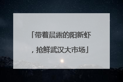 带着晨露的阳新虾，抢鲜武汉大市场