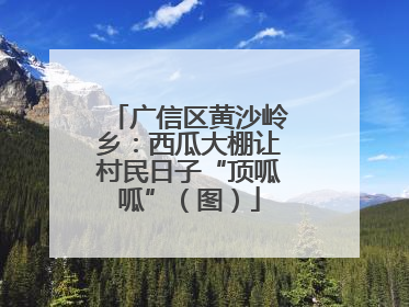 广信区黄沙岭乡：西瓜大棚让村民日子“顶呱呱”（图）