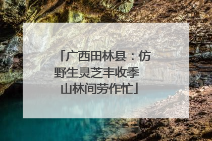 广西田林县：仿野生灵芝丰收季 山林间劳作忙
