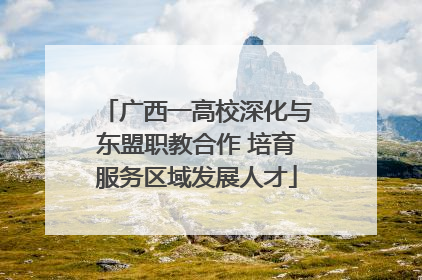 广西一高校深化与东盟职教合作 培育服务区域发展人才