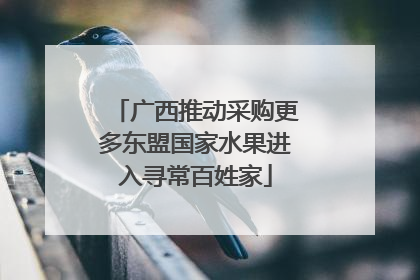 广西推动采购更多东盟国家水果进入寻常百姓家