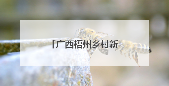 广西梧州乡村新景：田园铁路相映 勾勒和美画卷