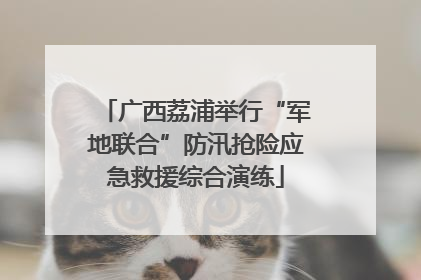 广西荔浦举行“军地联合”防汛抢险应急救援综合演练