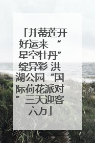并蒂莲开好运来 “星空牡丹”绽异彩 洪湖公园“国际荷花派对”三天迎客六万