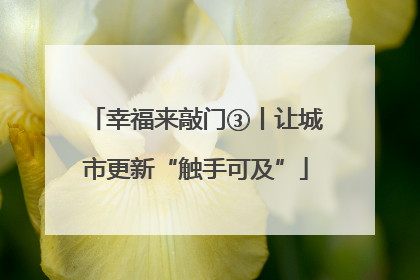 幸福来敲门③丨让城市更新“触手可及”