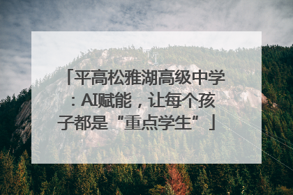 平高松雅湖高级中学：AI赋能，让每个孩子都是“重点学生”