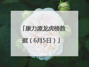 康力源龙虎榜数据（6月5日）