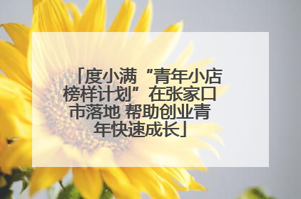 度小满“青年小店榜样计划”在张家口市落地 帮助创业青年快速成长