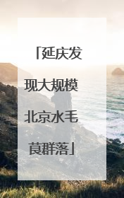 延庆发现大规模北京水毛茛群落