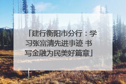 建行衡阳市分行：学习张富清先进事迹 书写金融为民美好篇章