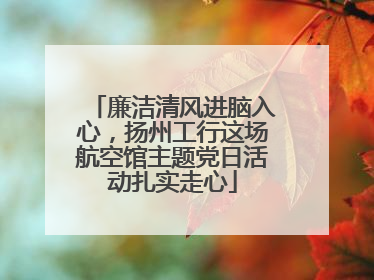 廉洁清风进脑入心，扬州工行这场航空馆主题党日活动扎实走心