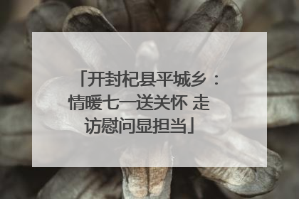开封杞县平城乡：情暖七一送关怀 走访慰问显担当