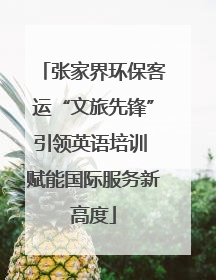 张家界环保客运“文旅先锋”引领英语培训 赋能国际服务新高度