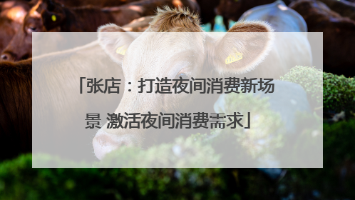 张店：打造夜间消费新场景 激活夜间消费需求