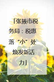 张掖市税务局：税惠落“小”处 焕发新活力