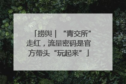 捞舆｜“青交所”走红，流量密码是官方带头“玩起来”