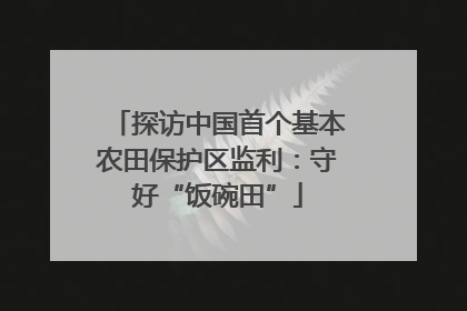 探访中国首个基本农田保护区监利：守好“饭碗田”