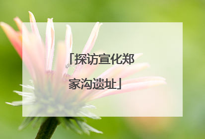 探访宣化郑家沟遗址