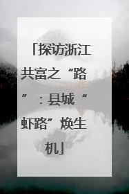 探访浙江共富之“路”：县城“虾路”焕生机
