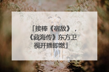 接棒《宿敌》，《藏海传》东方卫视开播即燃