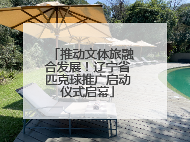 推动文体旅融合发展！辽宁省匹克球推广启动仪式启幕