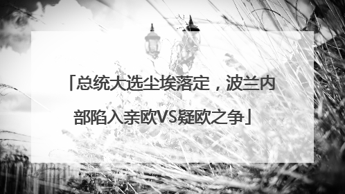 总统大选尘埃落定，波兰内部陷入亲欧VS疑欧之争