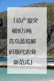 总产量突破9万吨 青岛蓝莓解码现代农业新范式