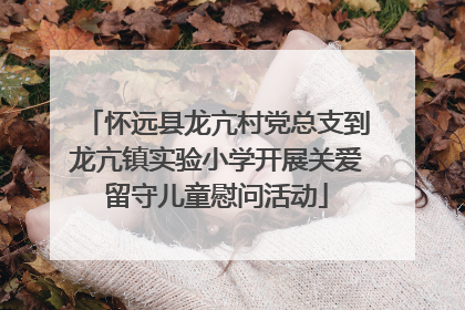 怀远县龙亢村党总支到龙亢镇实验小学开展关爱留守儿童慰问活动