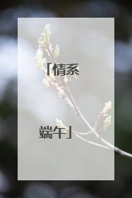 情系端午