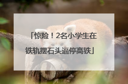 惊险！2名小学生在铁轨摆石头逼停高铁