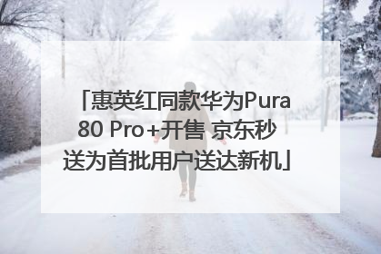 惠英红同款华为Pura 80 Pro+开售 京东秒送为首批用户送达新机