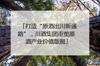 打造“原酒出川新通路”，川酒集团重塑原酒产业价值版图