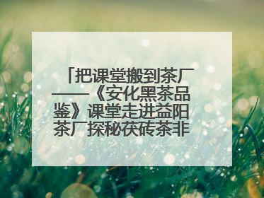 把课堂搬到茶厂——《安化黑茶品鉴》课堂走进益阳茶厂探秘茯砖茶非遗技艺