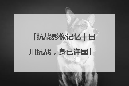 抗战影像记忆｜出川抗战，身已许国