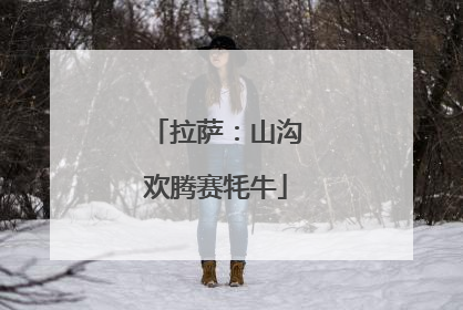 拉萨：山沟欢腾赛牦牛