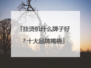 挂烫机什么牌子好？十大品牌揭晓