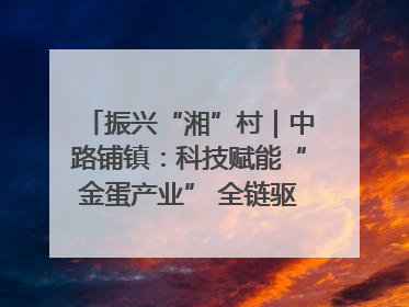 振兴“湘”村｜中路铺镇：科技赋能“金蛋产业” 全链驱动乡村振兴