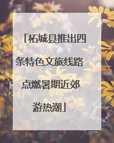 柘城县推出四条特色文旅线路 点燃暑期近郊游热潮