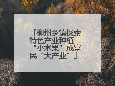 柳州乡镇探索特色产业种植 “小水果”成富民“大产业”