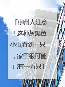 柳州人注意！这种灰黑色小虫看到一只，家里很可能已有一万只