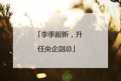 李季履新，升任央企副总