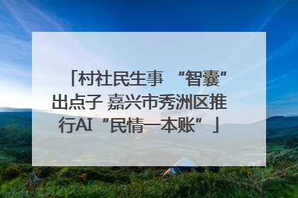 村社民生事 “智囊”出点子 嘉兴市秀洲区推行AI“民情一本账”