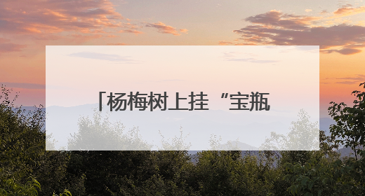 杨梅树上挂“宝瓶” 科技助力定海晚稻杨梅走出海岛
