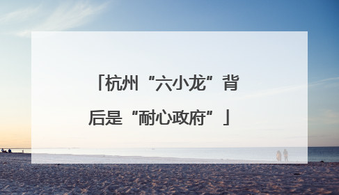 杭州“六小龙”背后是“耐心政府”