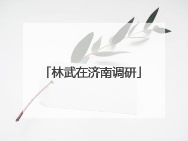 林武在济南调研
