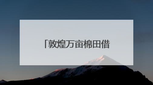 敦煌万亩棉田借北斗导航播种系统实现“精种”