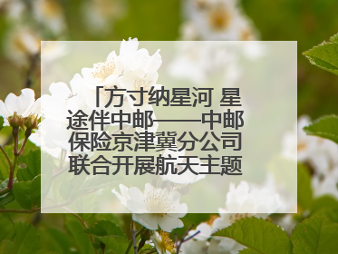 方寸纳星河 星途伴中邮——中邮保险京津冀分公司联合开展航天主题研学活动