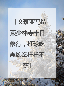 文班亚马结束少林寺十日修行，打球吃斋练拳样样不落