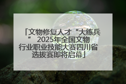文物修复人才“大练兵” 2025年全国文物行业职业技能大赛四川省选拔赛即将启幕
